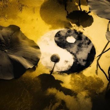 道德經(jīng)精義：探究道與德，踐行無為智慧