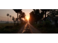 今日晨光下的家鄉美景，快樂瞬間共享！