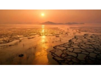 金町灣一站式游玩攻略：美食、夕陽、游泳和打卡拍照的完美去處！