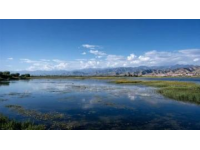 甘南圣境五日游詳解攻略：徒步探秘自然奇觀，體驗藏式風情之旅