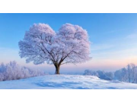 冬季養生全攻略：環境調整、飲食建議與健康提示(歐歐小常識)