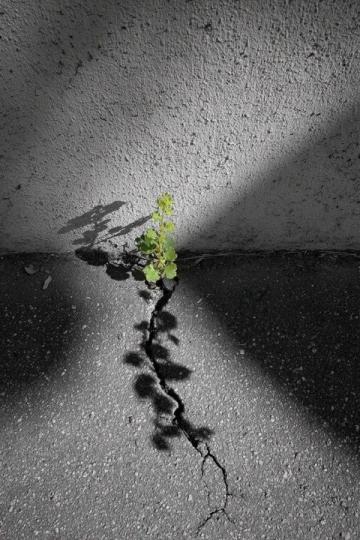 生活的小常識，原來如此！