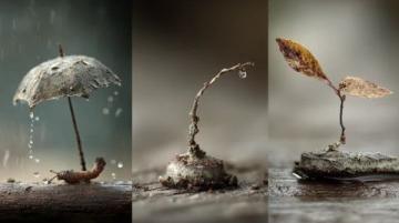 生活的小常識，原來如此！