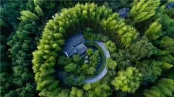 西雙版納熱帶植物園:探秘中科院寶庫,沉浸自然治愈之旅