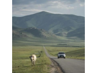 川西小環(huán)線自駕之旅:穿越雪山與美麗草原的5天4夜之行