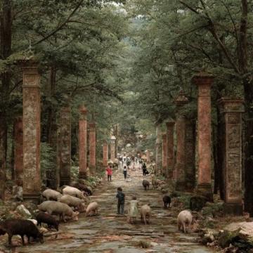 南寧動物園50元暢游攻略：大熊貓與“社牛”動物全看遍