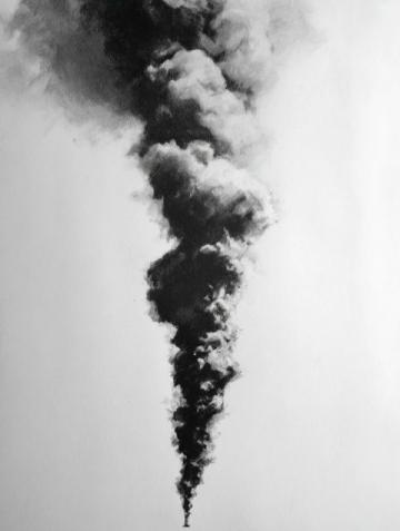 南寧動物園網紅黑猩猩戒煙:從扔糞便到改掉不良習慣的轉變啟示