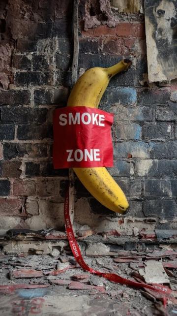 南寧動物園網紅黑猩猩戒煙:從扔糞便到改掉不良習慣的轉變啟示