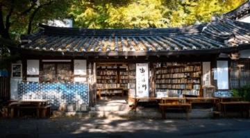 探索順聯(lián)公園與書香時光:在悠長午后尋覓心靈慰藉