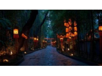 南寧動物園50元暢游攻略：大熊貓與“社牛”動物全看遍