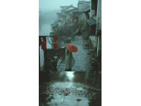 回歸故園的午后煙雨,有你的身影才是最美的風景