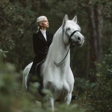 鼠馬成婚：沖喜冤家真相