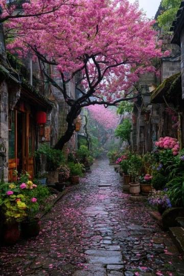 杭州塘棲古鎮(zhèn)探幽