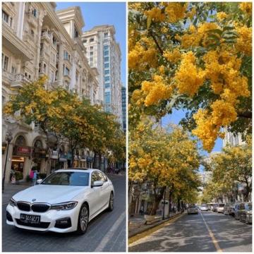 聽說陽泉周邊又多了一個好玩的地方，周末湊個熱鬧，到網紅打卡地—昔陽紅旗一條街逛了