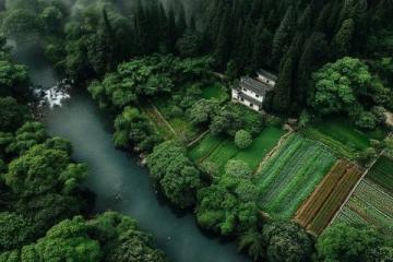 探索廣州增城白水寨美景與美食之旅
