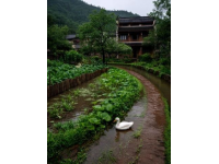 成都周邊徒步玩水避暑新寵——大邑丁木溝大峽谷旅游簡(jiǎn)介和旅游攻略