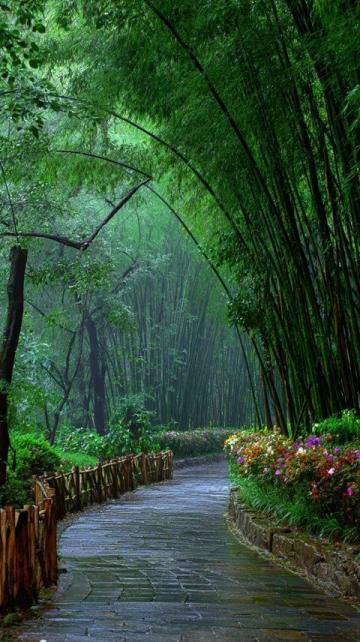 成都作為一座歷史悠久、文化豐富、美食眾多的城市,四季各有不同的風貌和旅游體驗