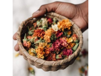 春季養生：春分時節調養秘籍