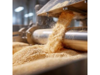 遼寧糧倉上百噸儲備糧失蹤，官方稱被老鼠吃掉引發質疑